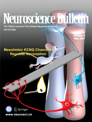 Neuroscience Bulletin杂志封面